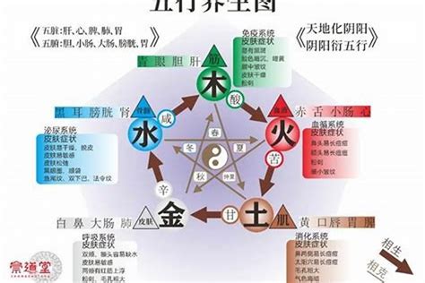 五行水旺缺金